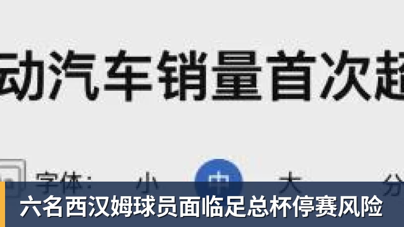 六名西汉姆球员面临足总杯停赛风险